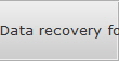 Data recovery for Hicksville data